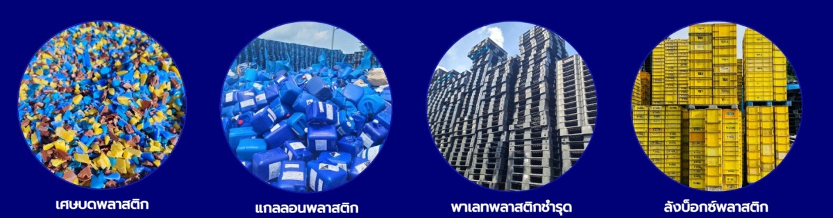 บริการของเรา บริการของเรา